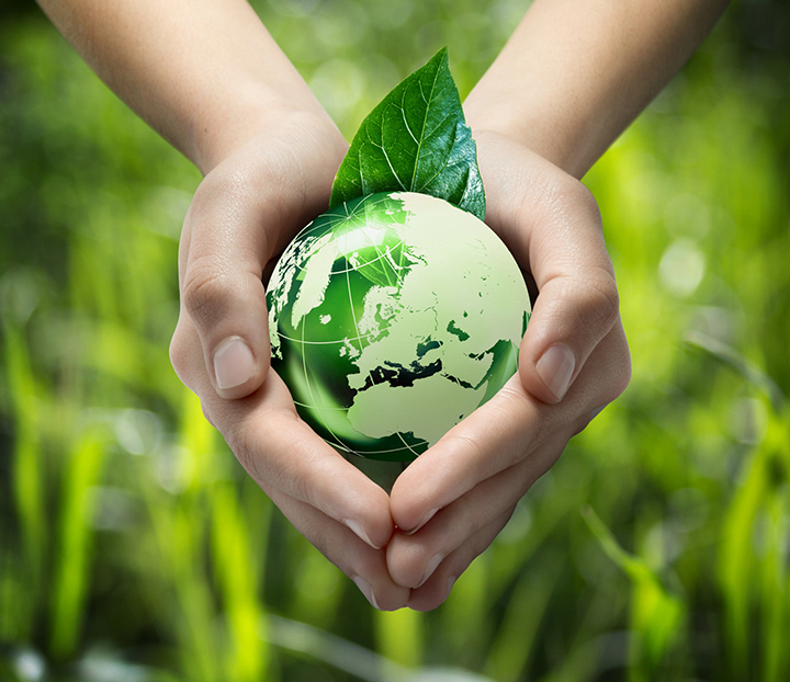 專業(yè)除蟲(chóng)消毒公司